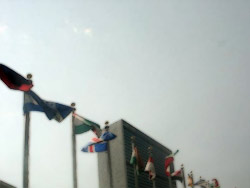 flags at the UN